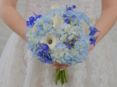 Cordelia Cascade Bouquet with hydrangea flowers mixed with calla lilies and bella donna
