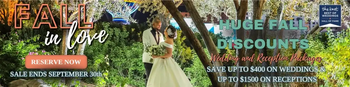 Renewal of Vows in Las Vegas specials