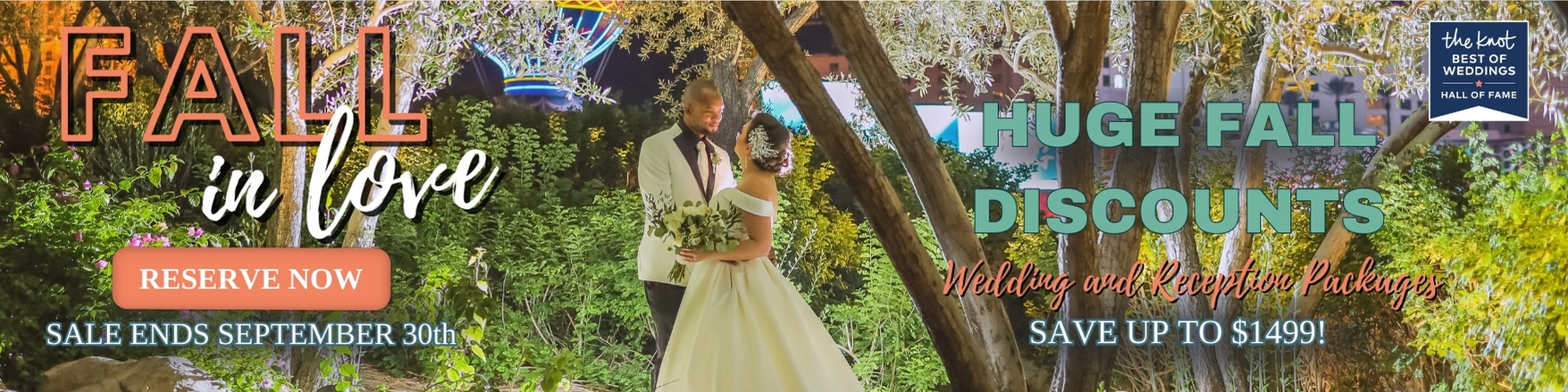 Renewal of Vows in Las Vegas specials